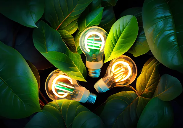 Light Bulb Fixtures 1.png